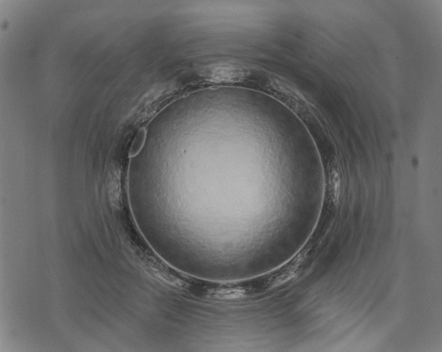 X0000074280554200609011344