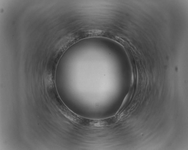 X0000074280564200609011345