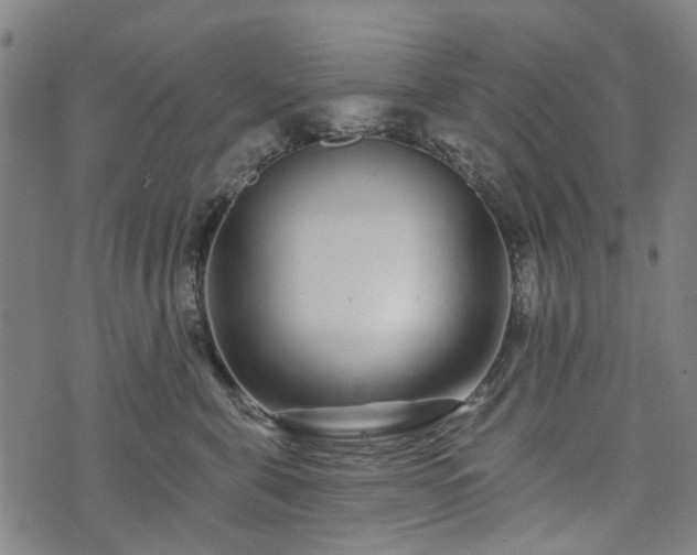 X0000074280571200609011345