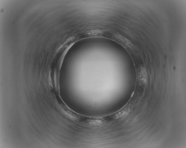 X0000074280572200609011345