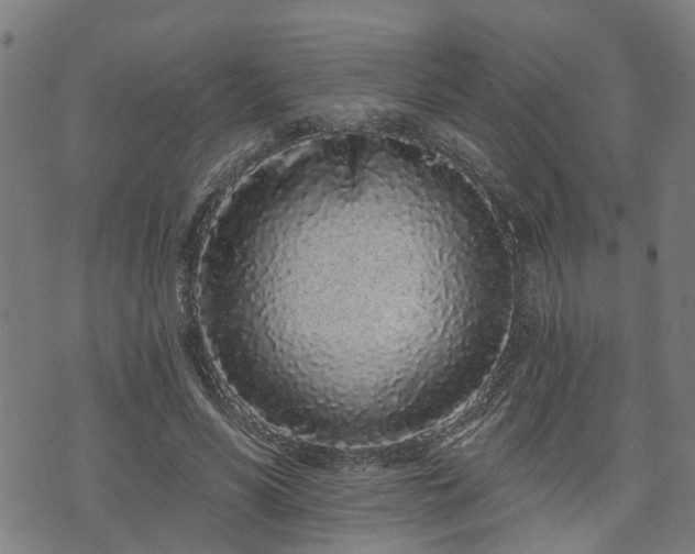 X0000074280590200609011344
