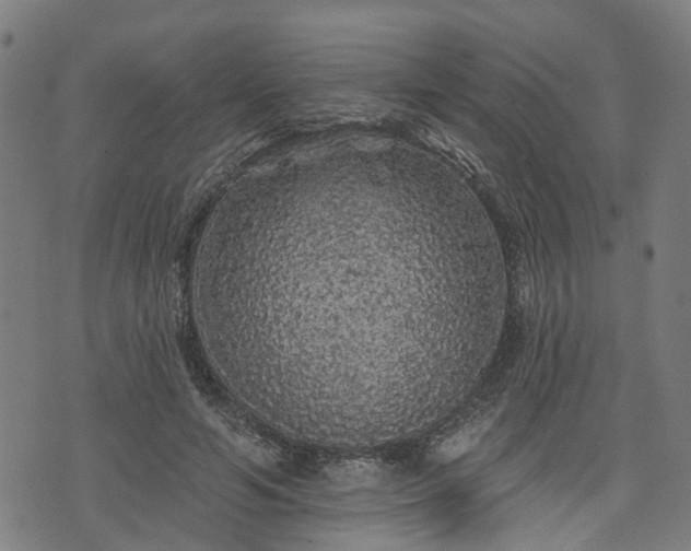 X0000074280594200609011344
