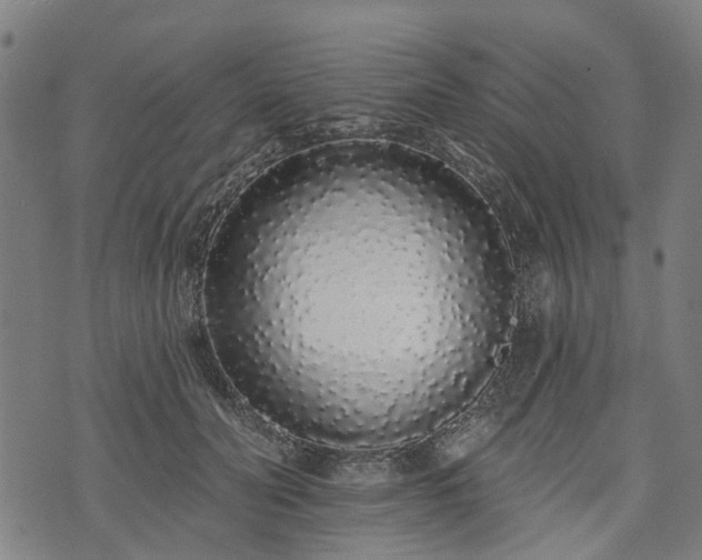 X0000074280606200609011343