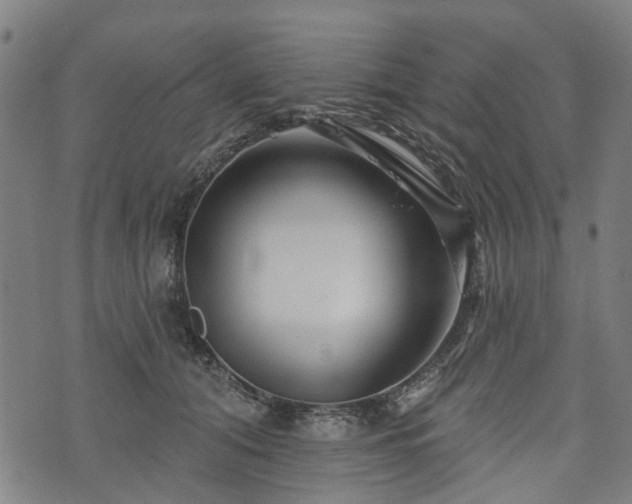 X0000074280608200609011343