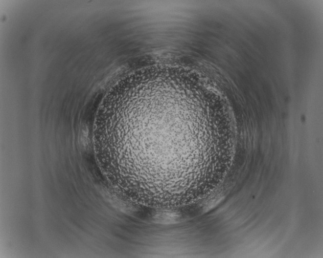 X0000074280610200609011343