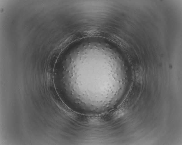 X0000074280618200609011343