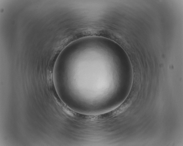 X0000074280624200609011343