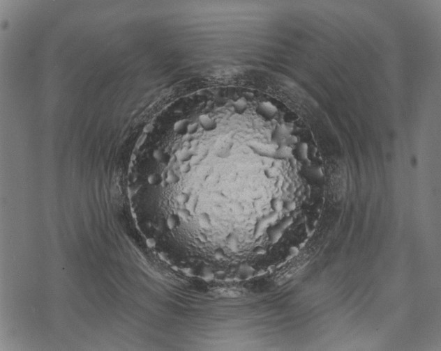 X0000074280654200609011343