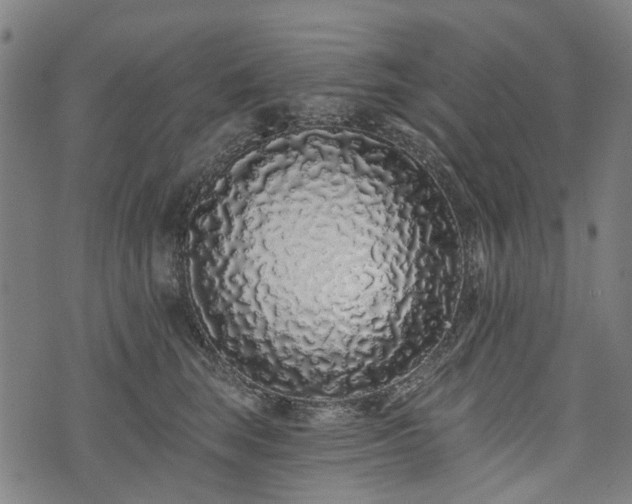 X0000074280663200609011343