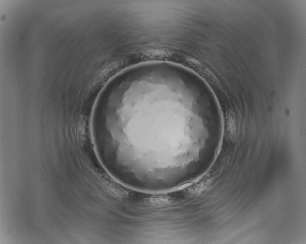 X0000074280668200609011343