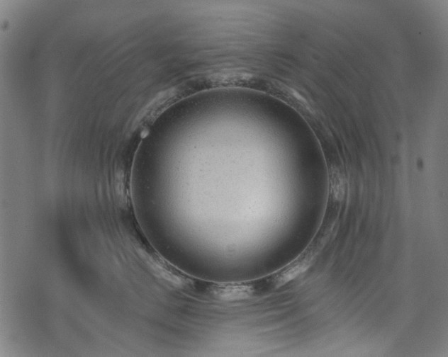X0000074280670200609011343