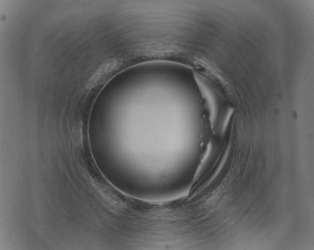 X0000074280685200609011342