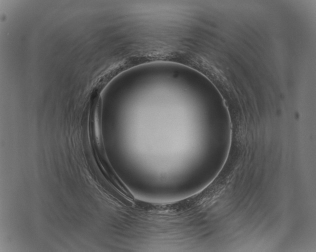 X0000074280689200609011342