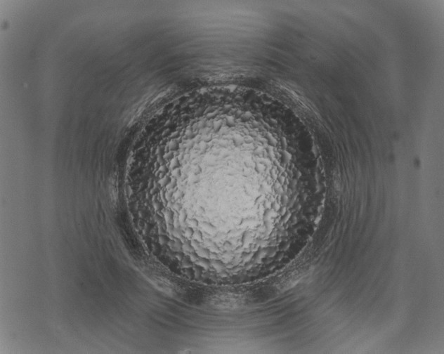 X0000074280691200609011342