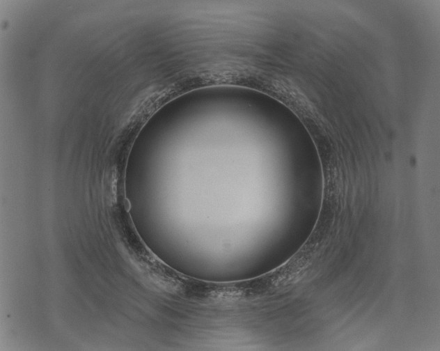 X0000074280694200609011342