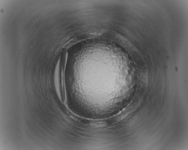 X0000074280707200609011342