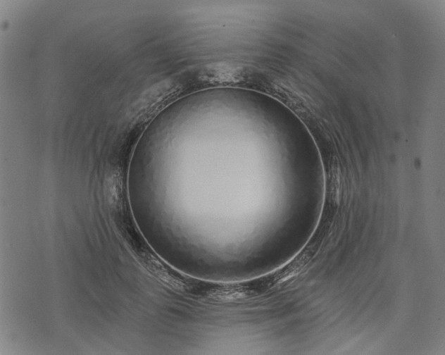 X0000074280747200609011341