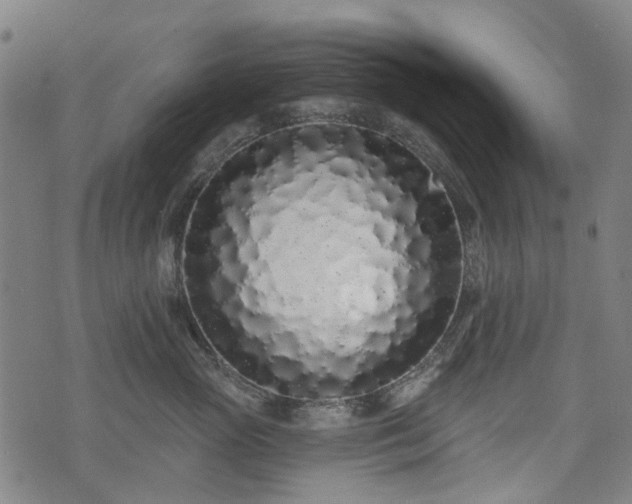 X0000074280765200609011342