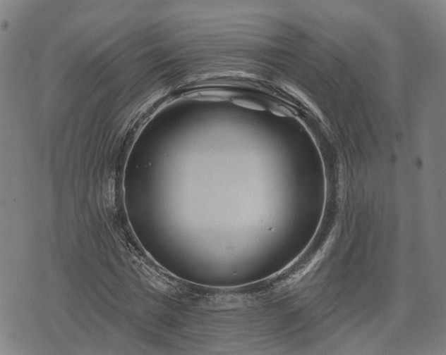 X0000074280777200609011341