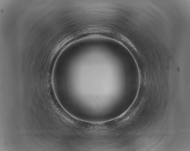 X0000074280786200609011341