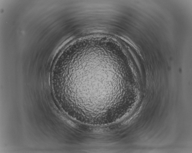 X0000074280790200609011340