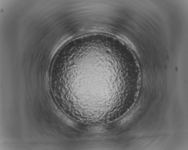 X0000074280798200609011340
