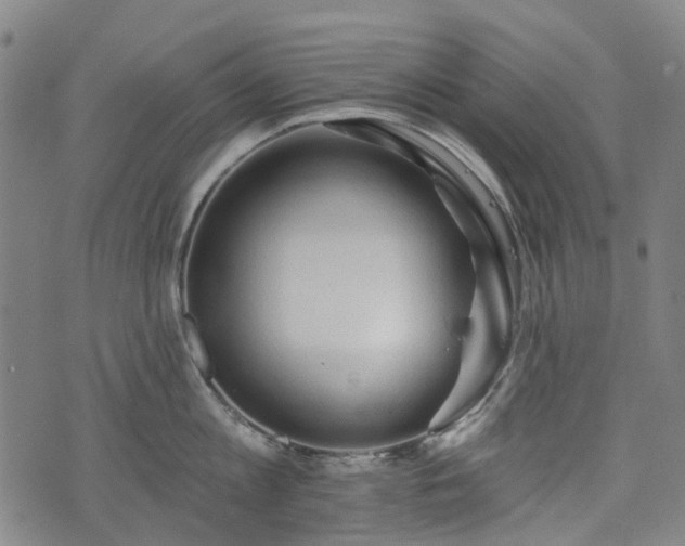 X0000074280813200609011340