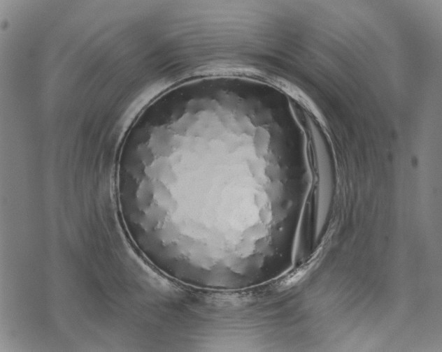 X0000074280855200609011340