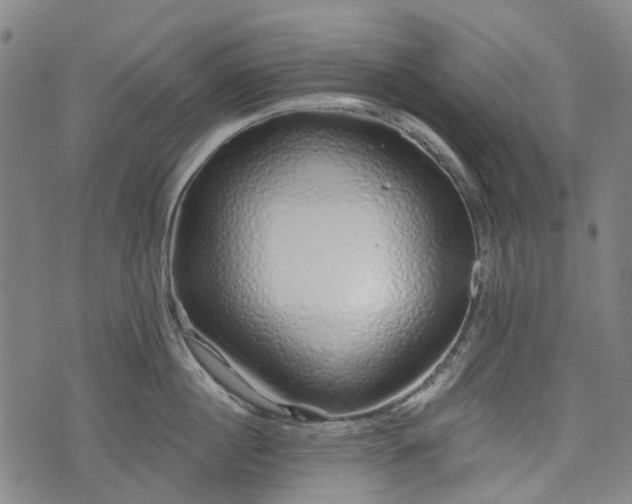 X0000074280860200609011340