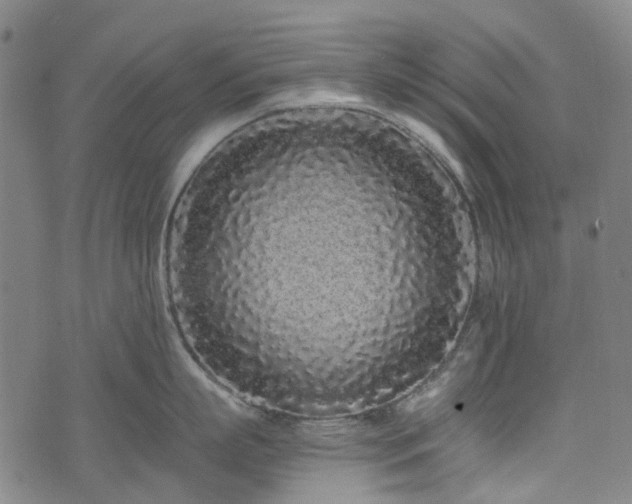 X0000074280863200609011340