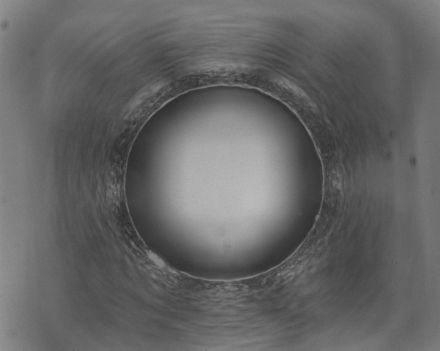X0000074280869200609011339
