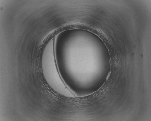X0000074280872200609011339