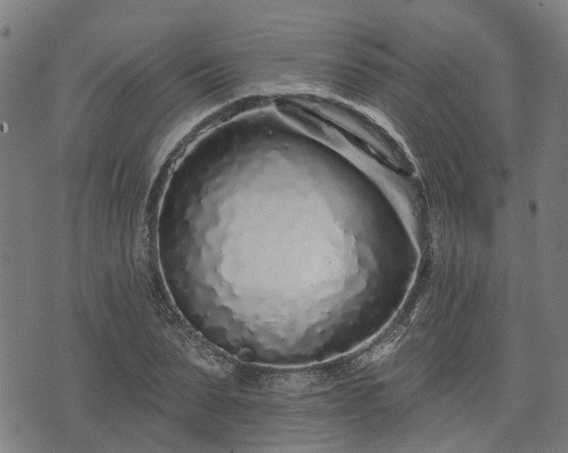 X0000074280879200609011339