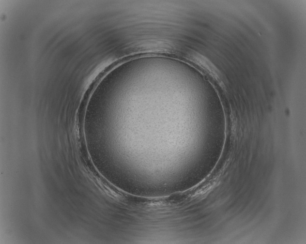 X0000074280883200609011339
