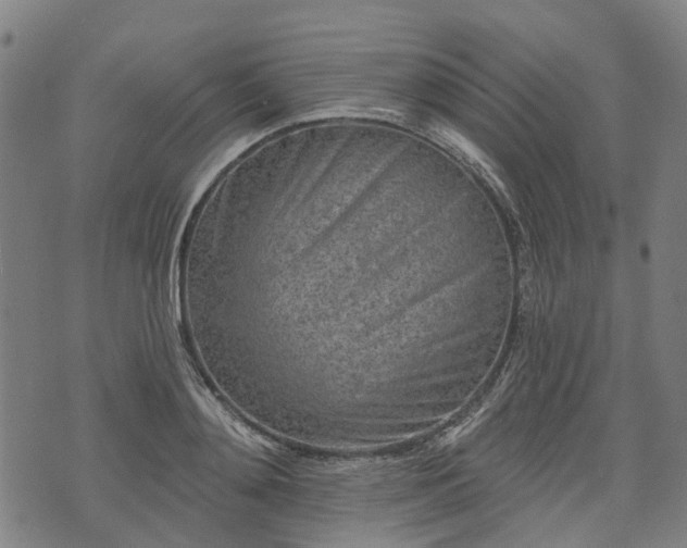 X0000074280892200609011339