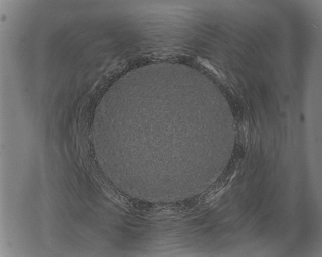 X0000074280913200609011338