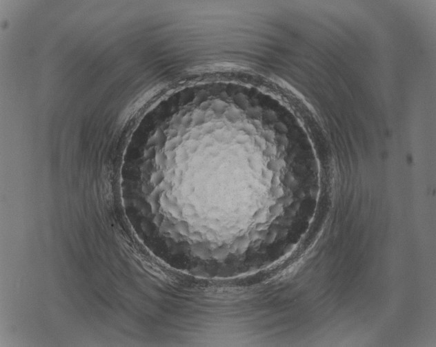 X0000074280921200609011338