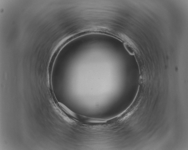 X0000074280940200609011338