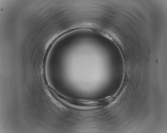X0000074280944200609011338