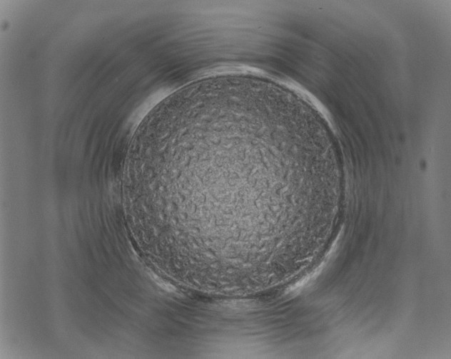 X0000074280953200609011338