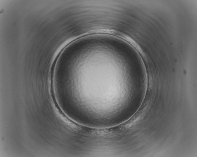 X0000074280955200609011338