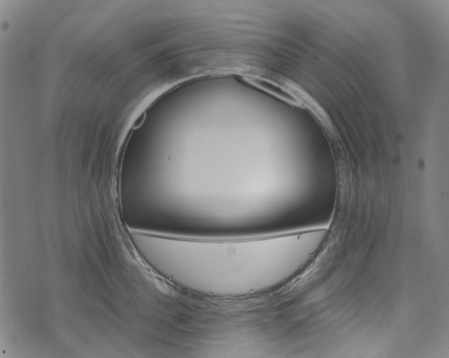 X0000074280956200609011338