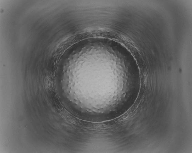 X0000074280966200609011338