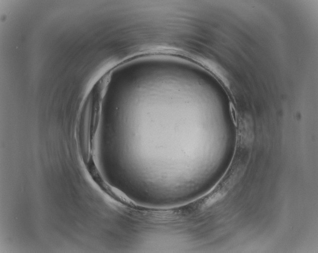X0000074281007200609011337