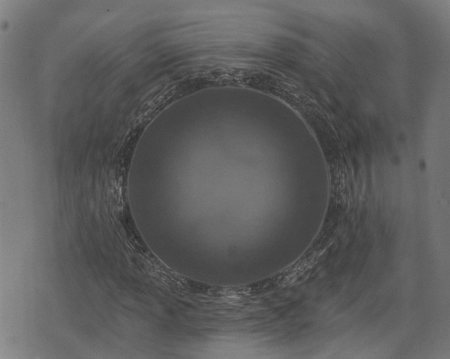 X0000074281013200609011336