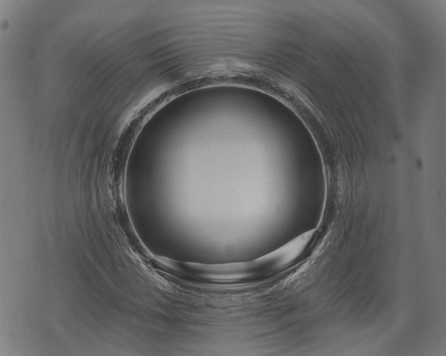 X0000074281018200609011336