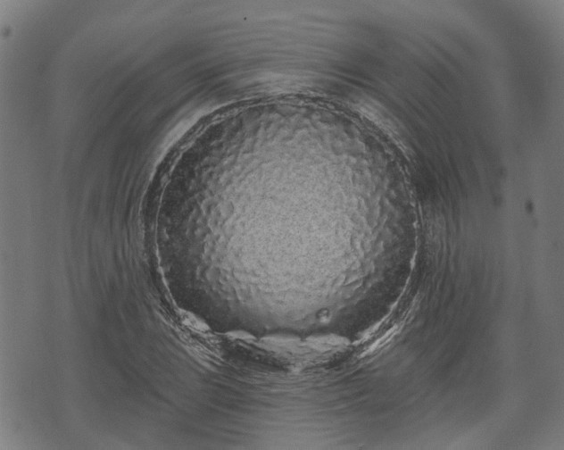 X0000074281023200609011336
