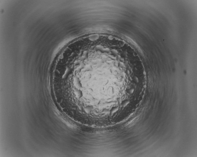 X0000074281035200609011337