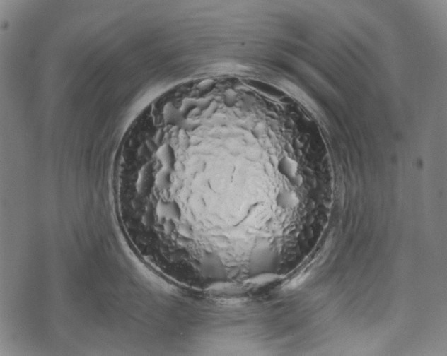 X0000074281055200609011337