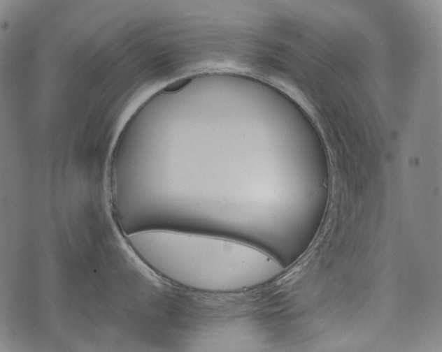 X0000074281056200609011337